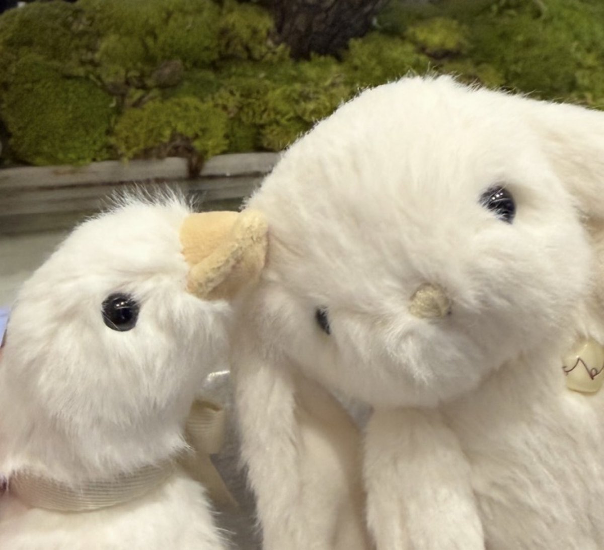 A white duck plush touching noses with a white bunny plush