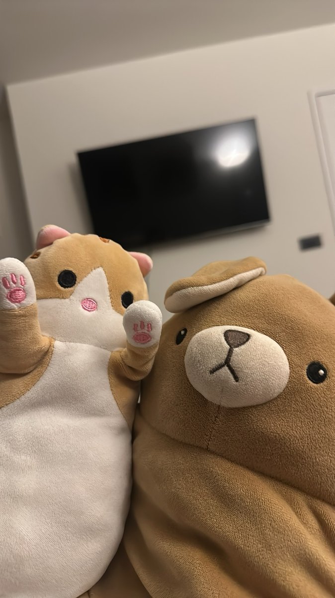 A cat plush and a bear plush sitting together
